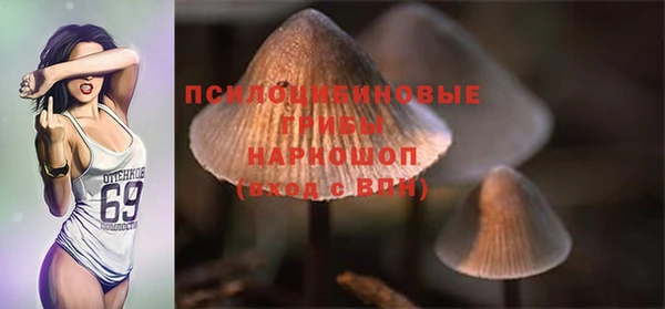 прущие крисы Белокуриха