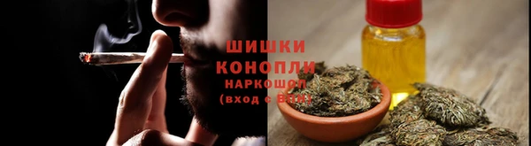 прущие крисы Белокуриха