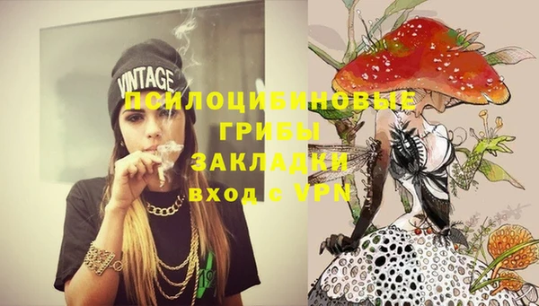 прущие крисы Белокуриха
