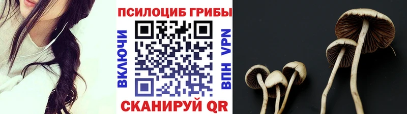 Галлюциногенные грибы Psilocybine cubensis  магазин продажи   Кудрово 